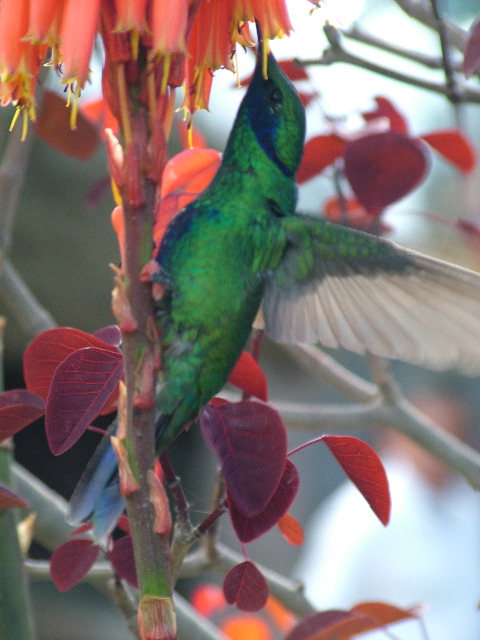 DSCF2589.JPG