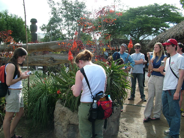 DSCF2590.JPG