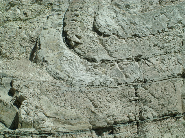 DSCF2601.JPG