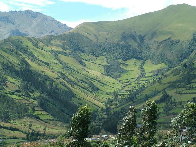 DSCF2607.JPG