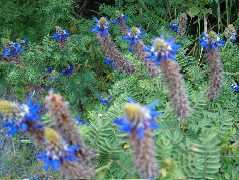 DSCF2632.JPG