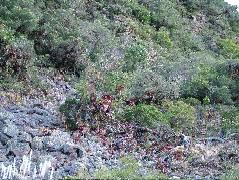 DSCF2635.JPG