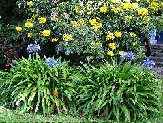 DSCF2639.JPG