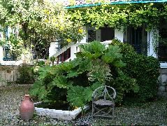 DSCF2640.JPG