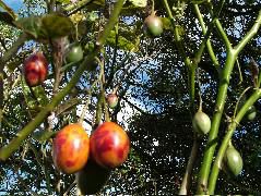 DSCF2641.JPG