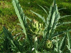 DSCF2643.JPG