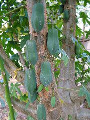 DSCF2645.JPG