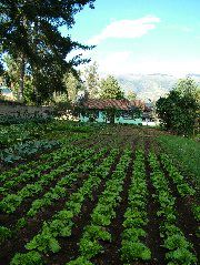 DSCF2648.JPG