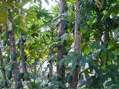 DSCF2651.JPG