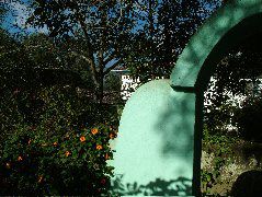 DSCF2652.JPG