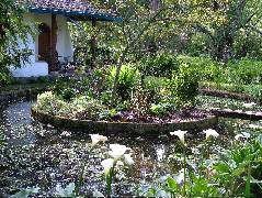 DSCF2655.JPG