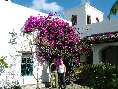 DSCF2663.JPG