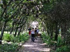 DSCF2664.JPG