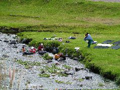 DSCF2666.JPG