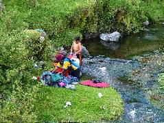 DSCF2668.JPG