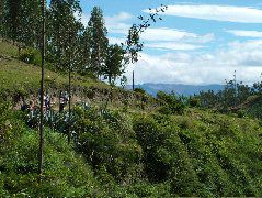 DSCF2671.JPG