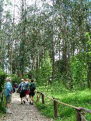 DSCF2679.JPG