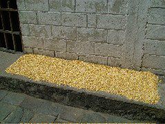 DSCF2685.JPG
