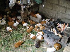 DSCF2692.JPG