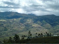 DSCF2720.JPG