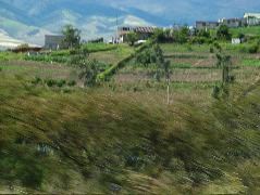 DSCF2721.JPG