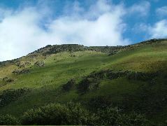DSCF2722.JPG