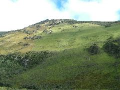 DSCF2723.JPG