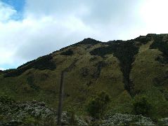 DSCF2725.JPG