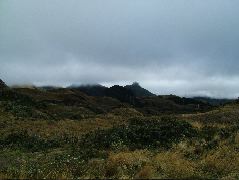 DSCF2726.JPG