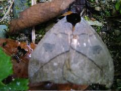 DSCF2731.JPG