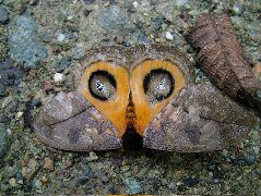 DSCF2732.JPG
