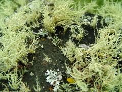 DSCF2733.JPG
