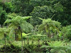 DSCF2736.JPG
