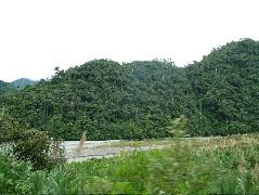 DSCF2744.JPG
