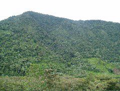 DSCF2745.JPG