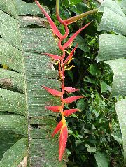 DSCF2752.JPG
