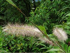 DSCF2753.JPG