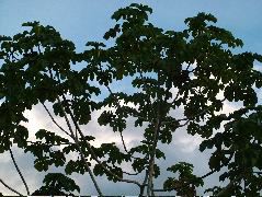 DSCF2767.JPG