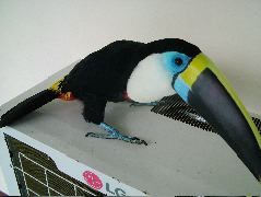 DSCF2769.JPG