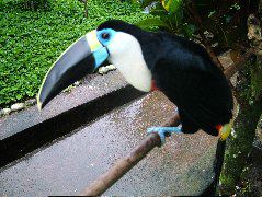 DSCF2771.JPG