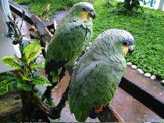 DSCF2773.JPG