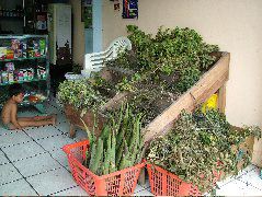 DSCF2777.JPG