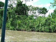 DSCF2795.JPG