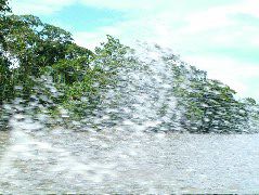 DSCF2796.JPG