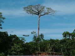 DSCF2797.JPG