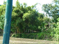DSCF2799.JPG