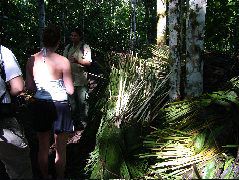 DSCF2803.JPG