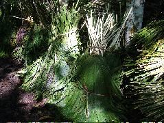 DSCF2804.JPG