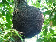 DSCF2805.JPG