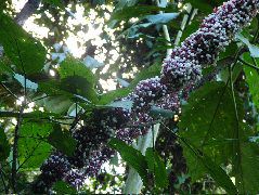 DSCF2807.JPG